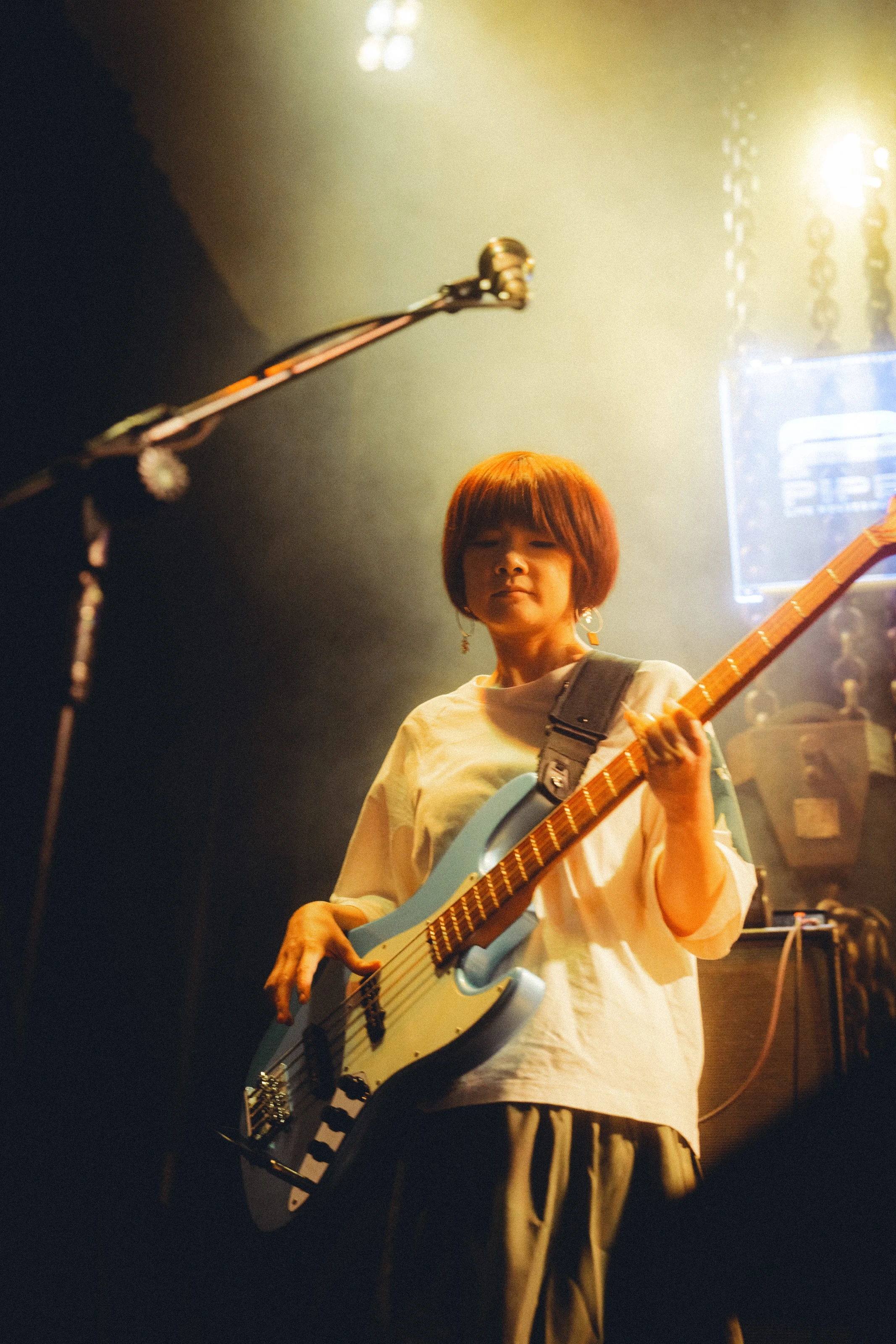 蕨鳴子 2