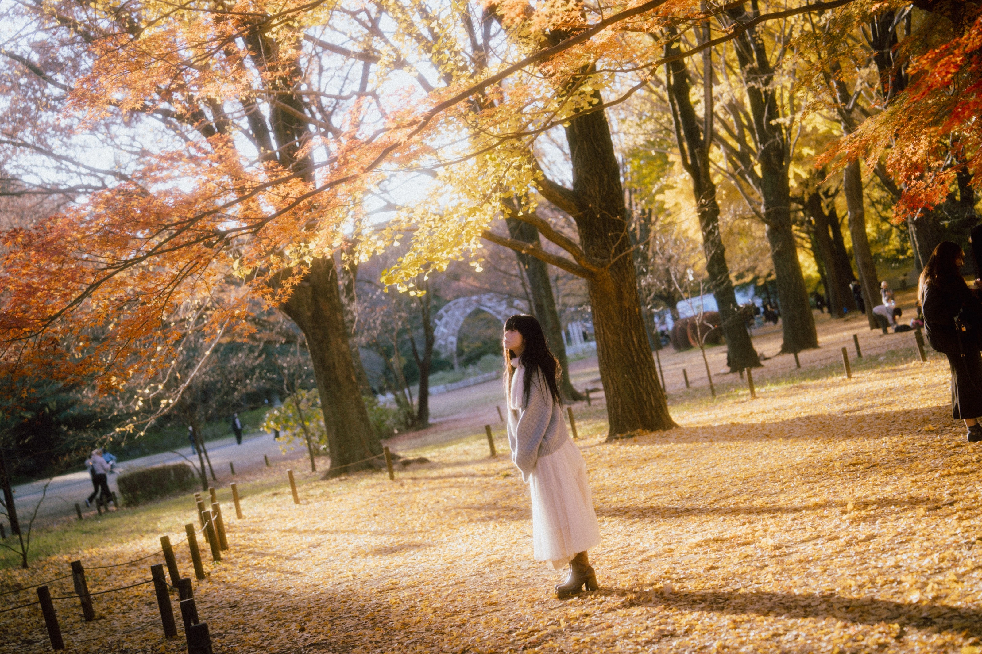 Kingdom of Rain 5