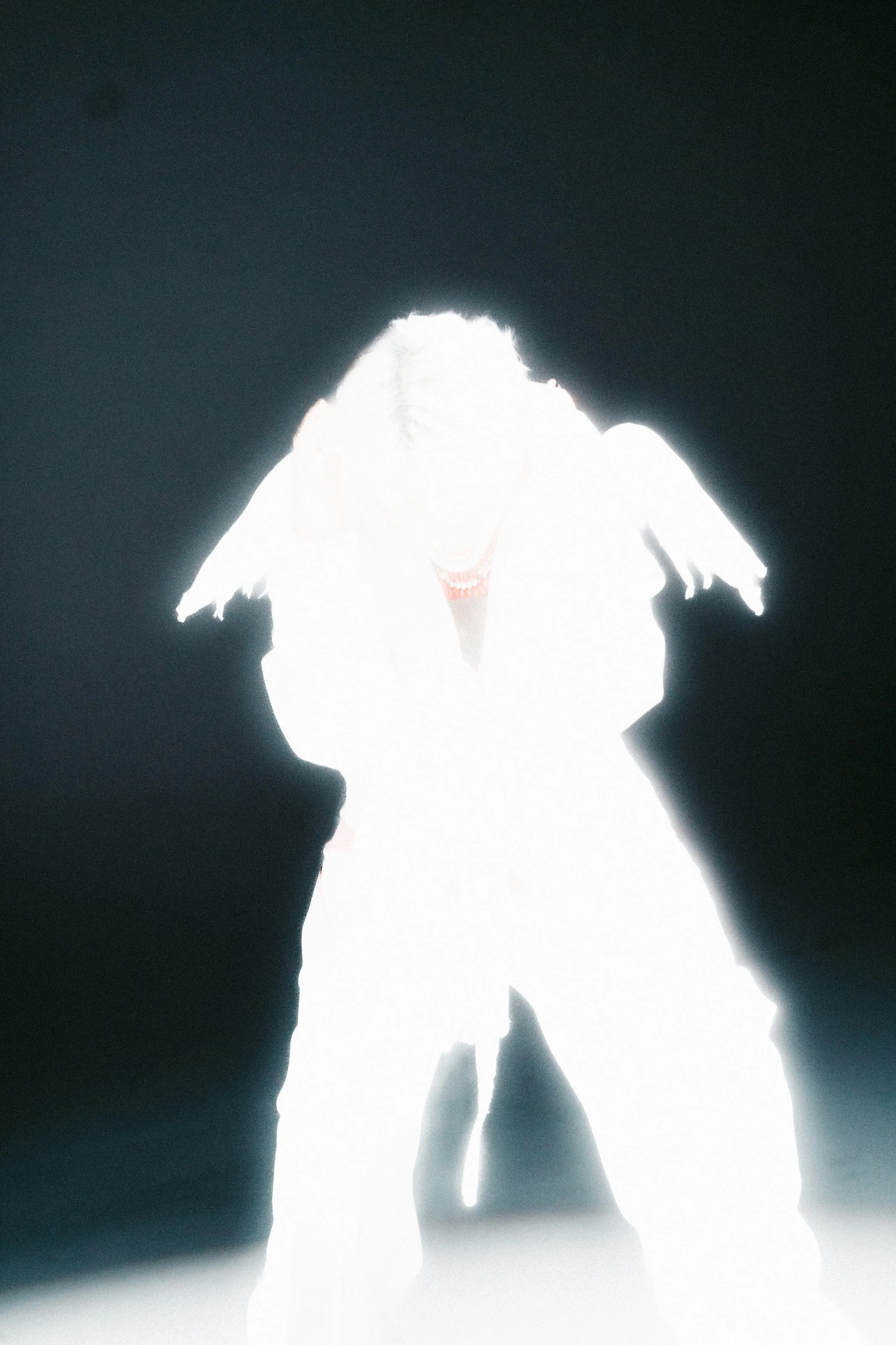 Aries Fall 5